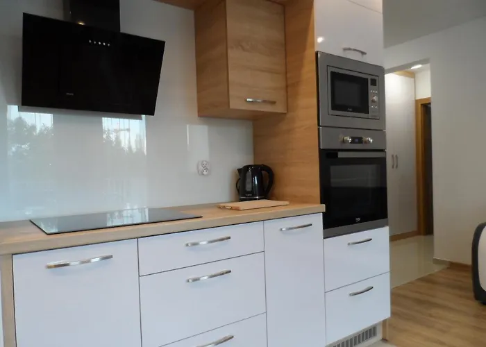 Apartmán Dmowskiego - Kepa Mieszczanska